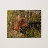 marmot legpuzzel (Horizontaal)