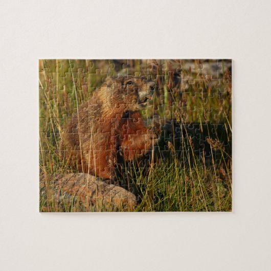 marmot legpuzzel (Horizontaal)