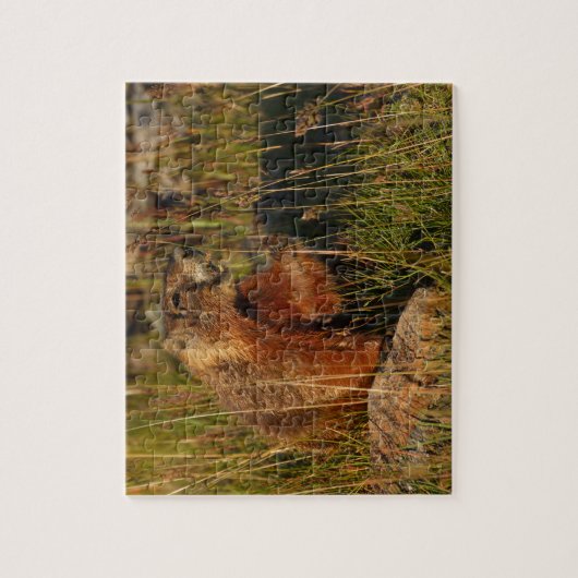 marmot legpuzzel (Verticaal)