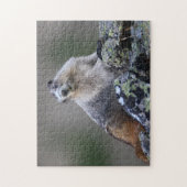 Marmot Legpuzzel (Verticaal)