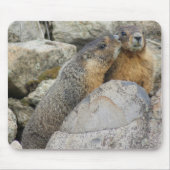Marmot Love Muismat (Voorkant)