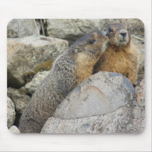 Marmot Love Muismat