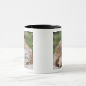 Marmot, marmota flaviventris, gele buik; mok (Midden)