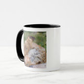 Marmot, marmota flaviventris, gele buik; mok (Voorkant links)