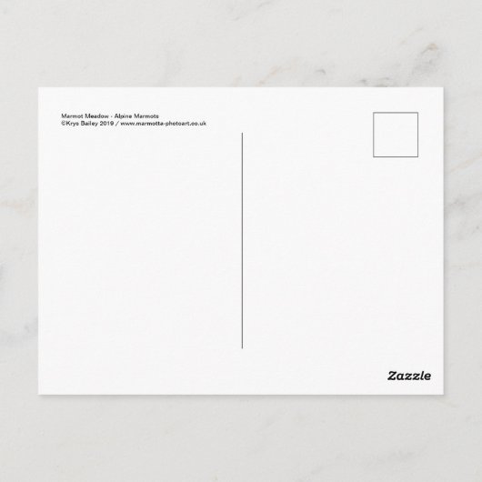 Marmot Meadow Briefkaart (Achterkant)