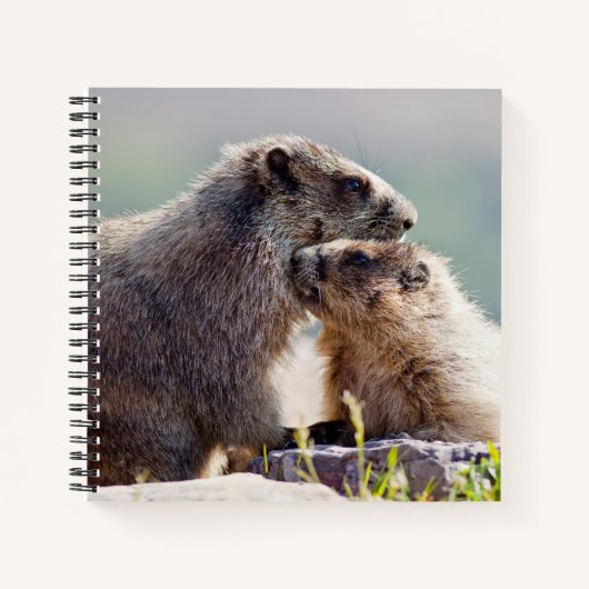 Marmot Moeder met Baby Notitieboek (Voorkant)