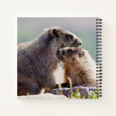 Marmot Moeder met Baby Notitieboek (Achterkant)