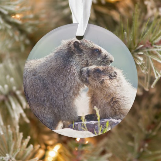 Marmot Moeder met Baby Ornament (Boom)
