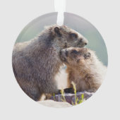 Marmot Moeder met Baby Ornament (achterkant)
