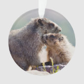 Marmot Moeder met Baby Ornament (voorkant)