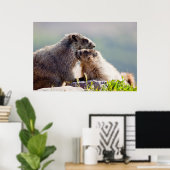 Marmot Moeder met Baby Poster (Thuiskantoor)