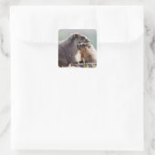 Marmot Moeder met Baby Vierkante Sticker (Tas)