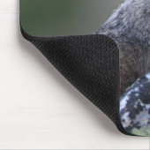 Marmot Muismat (Hoek)