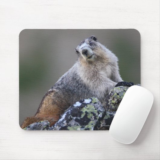 Marmot Muismat (Met muis)