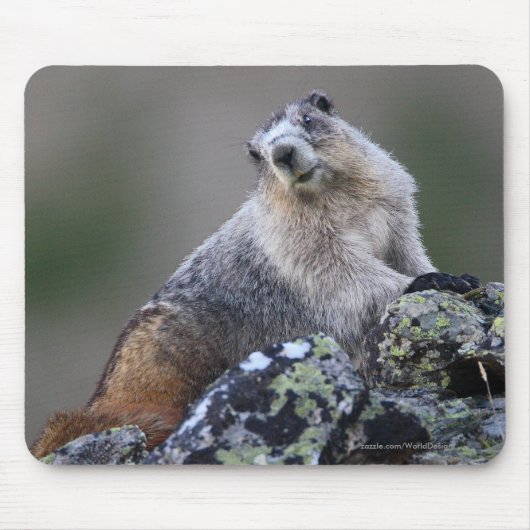 Marmot Muismat (Voorkant)