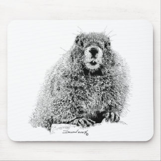 Marmot Muismat