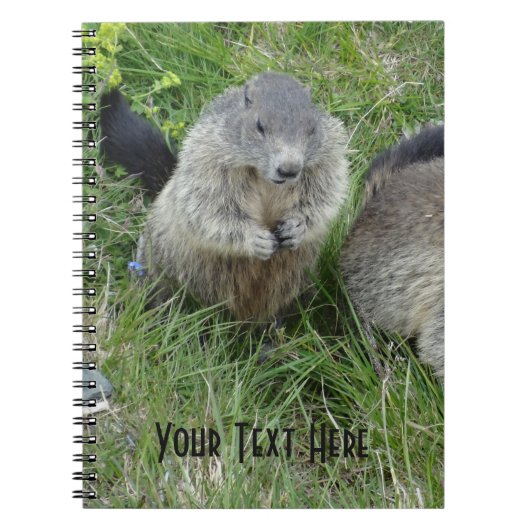 Marmot notitieboek (Voorkant)