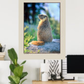 Marmot on Boulder - Sierra Nevadas California Poster (Thuiskantoor)