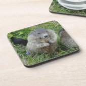 Marmot onderzetters (Linkerzijde)