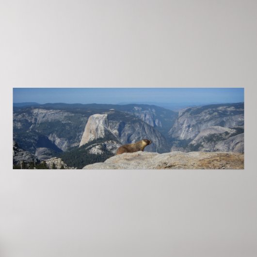 Marmot over Half Dome - Yosemite Poster (Voorkant)