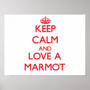 Marmot Poster