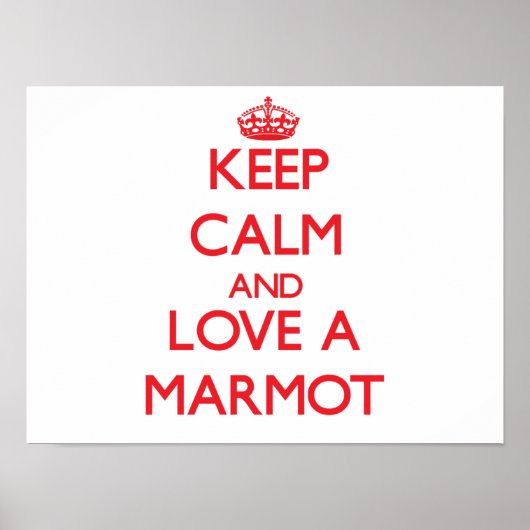 Marmot Poster (Voorkant)