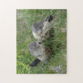 Marmot puzzle legpuzzel (Verticaal)