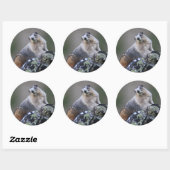 marmot ronde sticker (Vel)