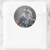marmot ronde sticker (Tas)