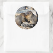 marmot ronde sticker (Tas)