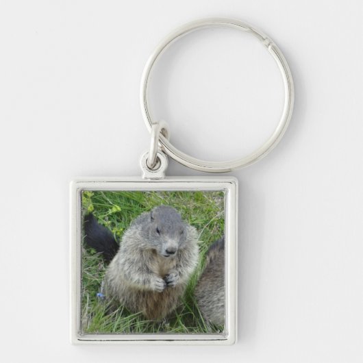 Marmot-sleutelketen Sleutelhanger (Voorkant)