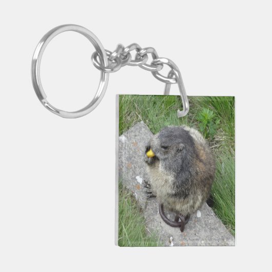 Marmot-sleutelketen Sleutelhanger (Voorkant Links)