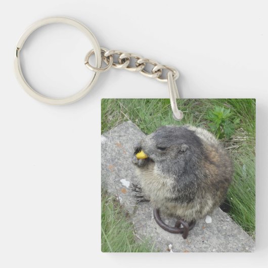 Marmot-sleutelketen Sleutelhanger (Voorkant)