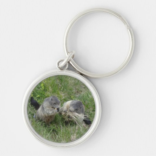 Marmot-sleutelketen Sleutelhanger (Voorkant)