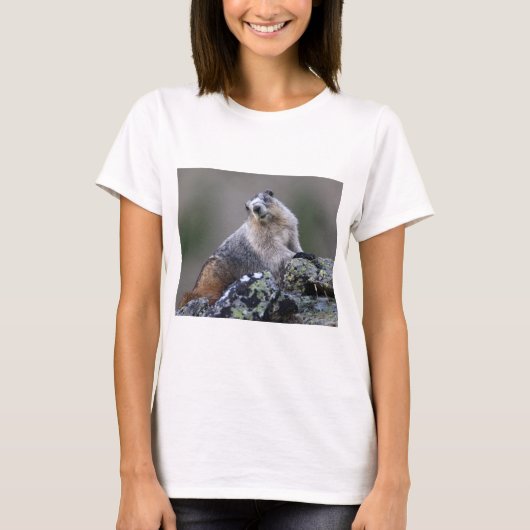 marmot t-shirt (Voorkant)