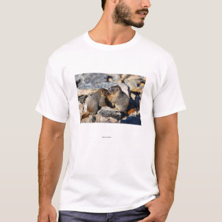 Marmot T-shirt