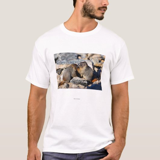 Marmot T-shirt (Voorkant)
