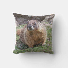 Marmot uit Palouse Falls State Park Kussen