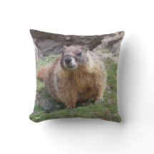 Marmot uit Palouse Falls State Park Kussen