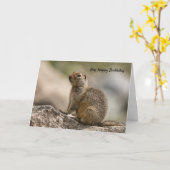 Marmot Verjaardagskaart Kaart (Gele Bloem)
