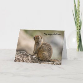 Marmot Verjaardagskaart Kaart