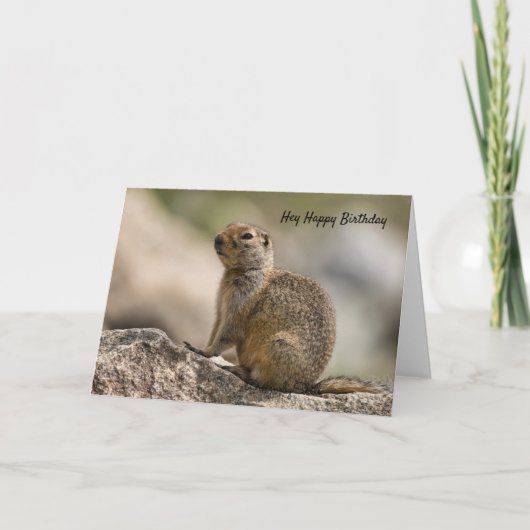 Marmot Verjaardagskaart Kaart (Voorkant)
