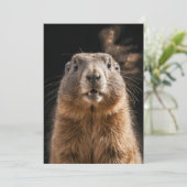 Marmot Wild Animal Elegant Dramatisch Mist Portret Aankondiging (Staand voorkant)
