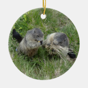 Marmots ornament