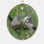 Marmots ornament (Links)