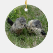 Marmots ornament (Achterkant)