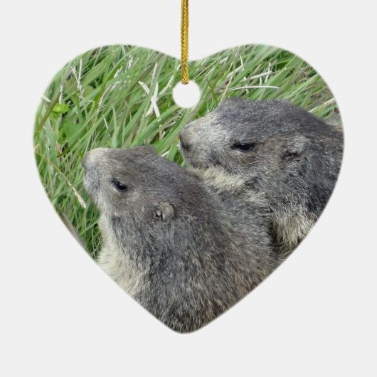 Marmots ornament (Achterkant)