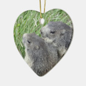 Marmots ornament (Links)