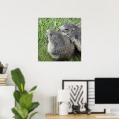 Marmots poster (Thuiskantoor)