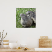 Marmots poster (Keuken)